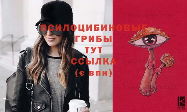 mix Арсеньев
